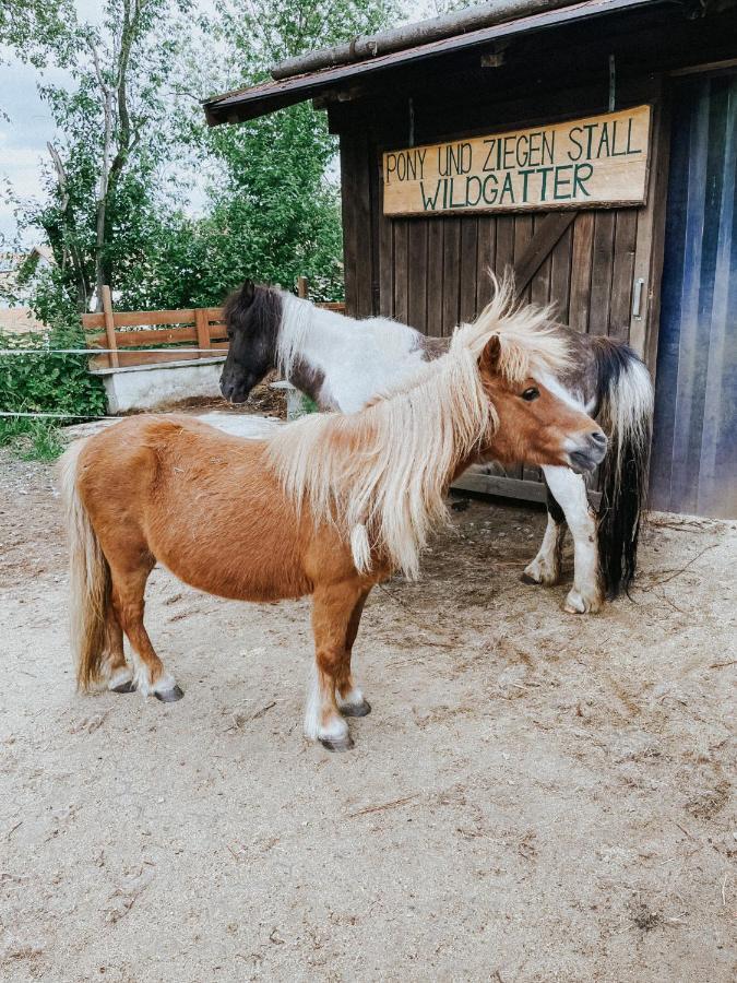Wildgatter Ferienappartements Grafenwiesen Exteriör bild